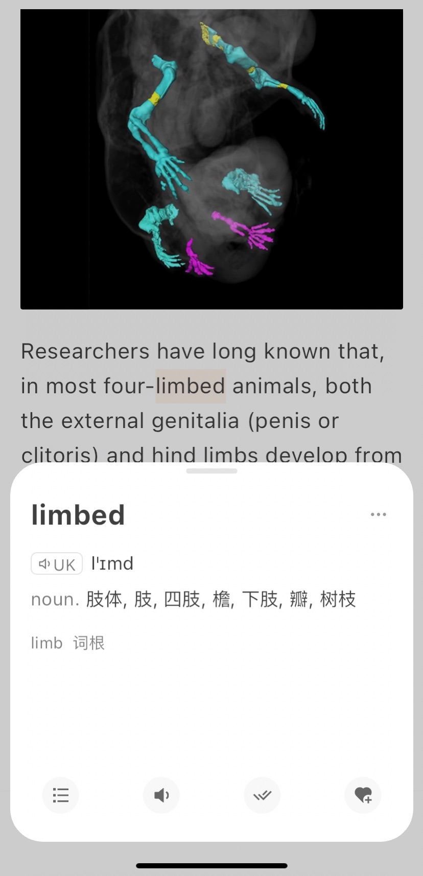 IMG_2913.PNG